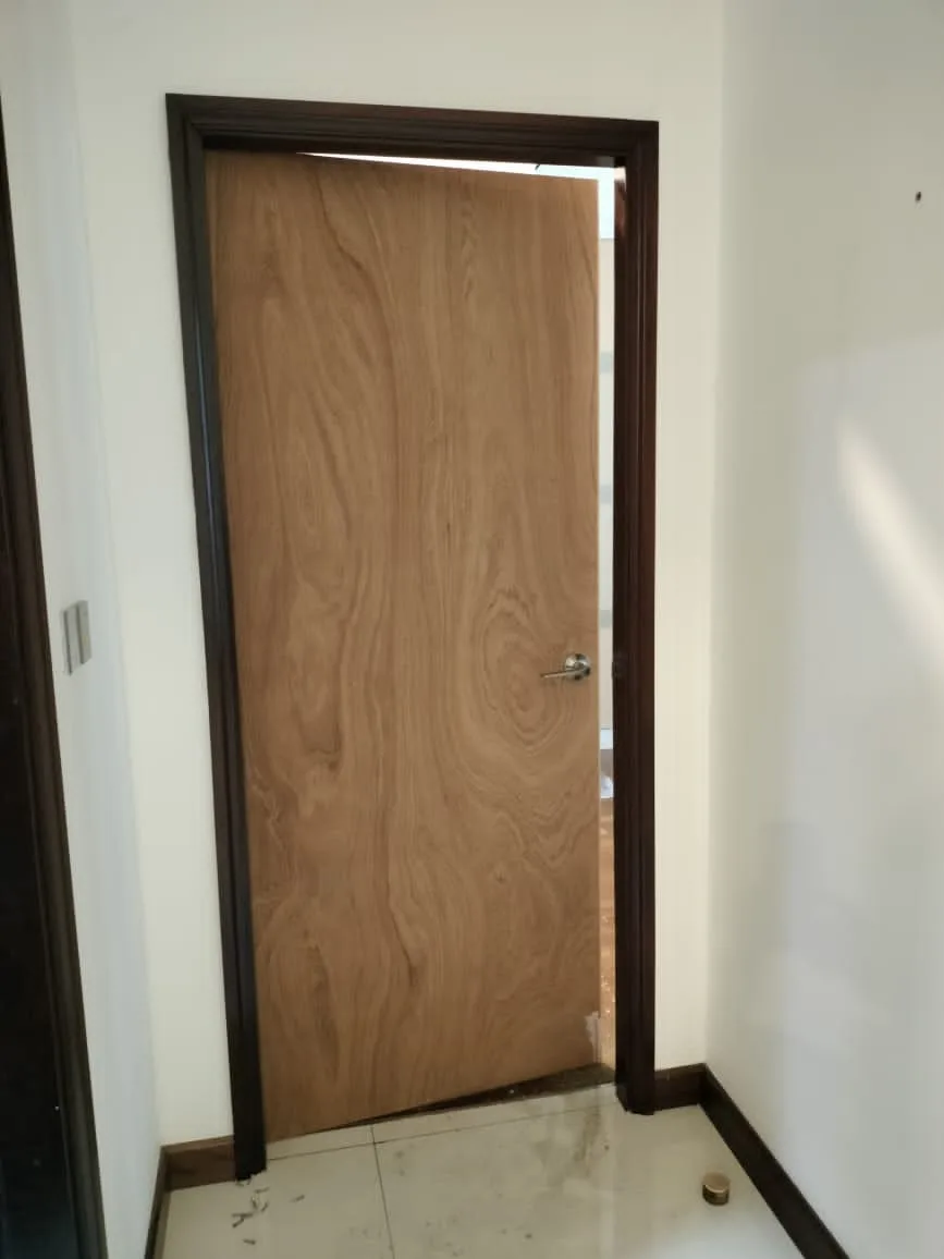 Plywood Door
