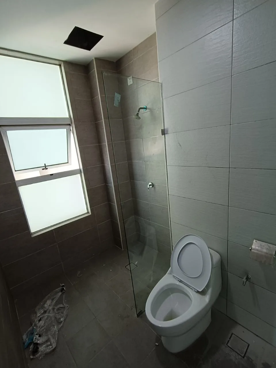 Shower Screen