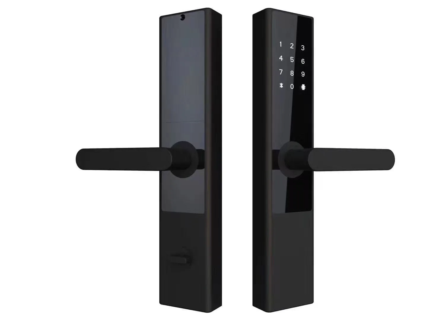 Smart Door